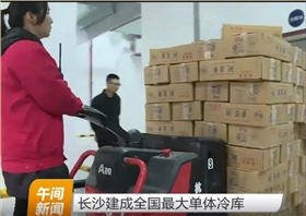 杭州叉車成為中國最大單體冷庫搬運(yùn)主力軍！