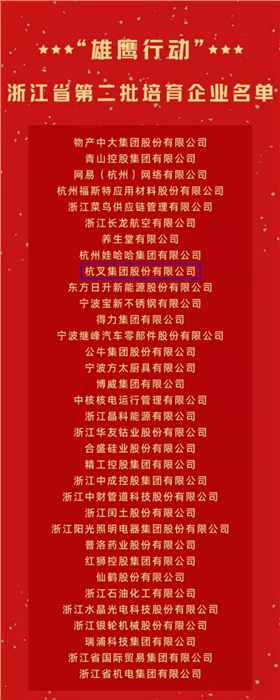 杭叉集團(tuán)