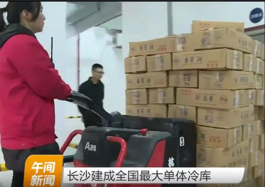 杭州叉車成為中國最大單體冷庫搬運主力軍！